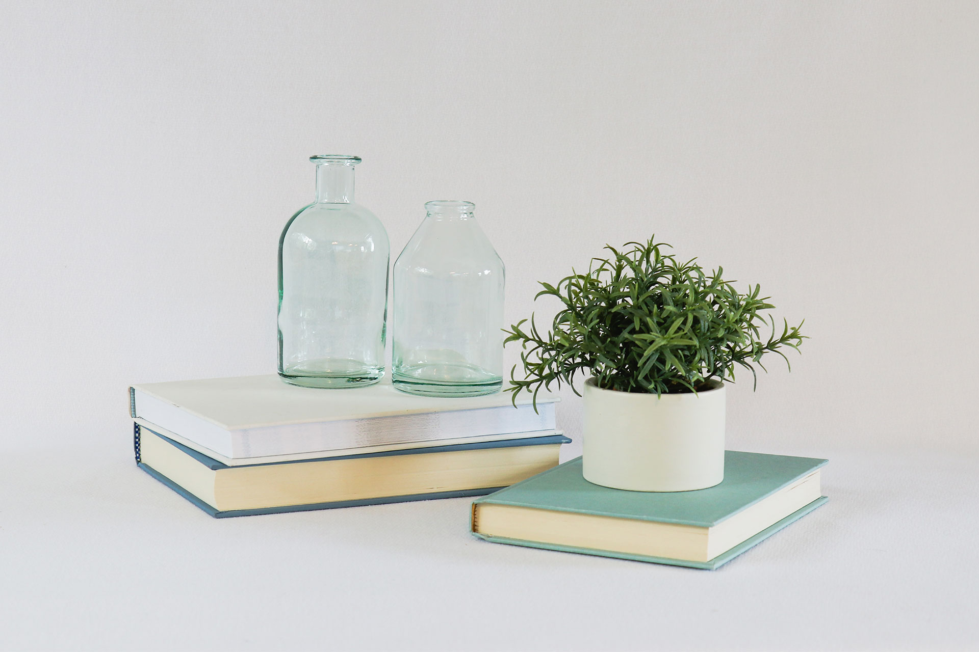 3 Books of different colors stacked with a plant in a white pot on top.